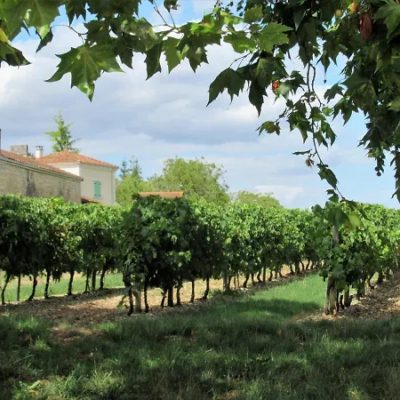Les Vignes